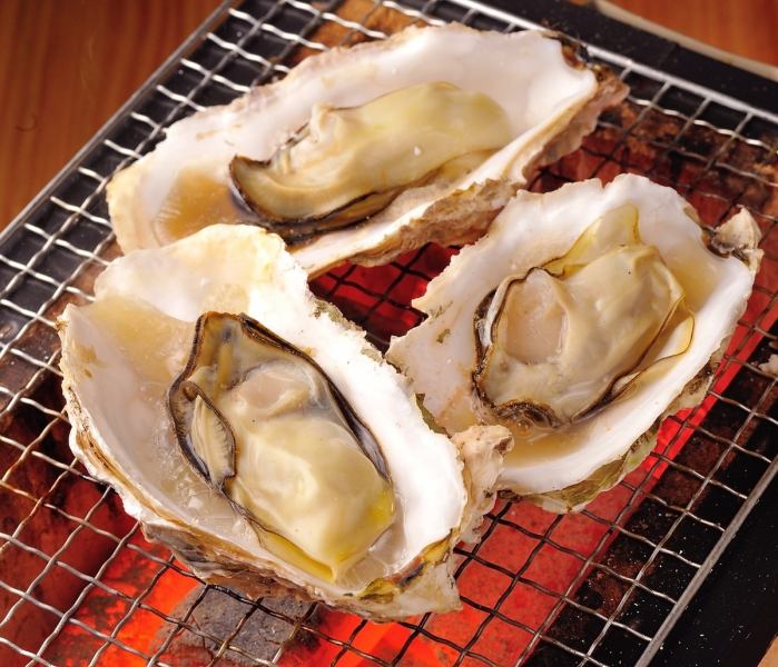 Experience charcoal-grilled oysters!