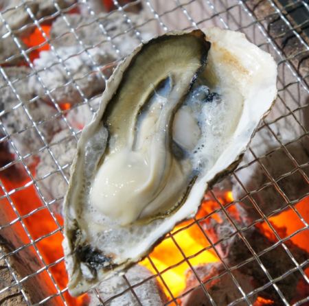 Grilled oysters from Miyagi Prefecture