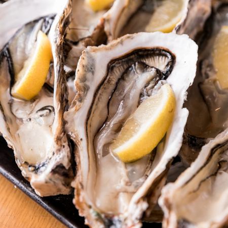 夏の食旬コース　【全8品　2時間飲み放題付き】