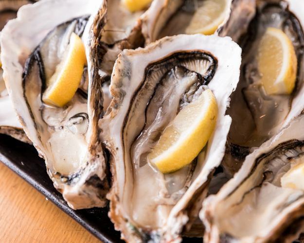夏の食旬コース 【全8品 2時間飲み放題付き】