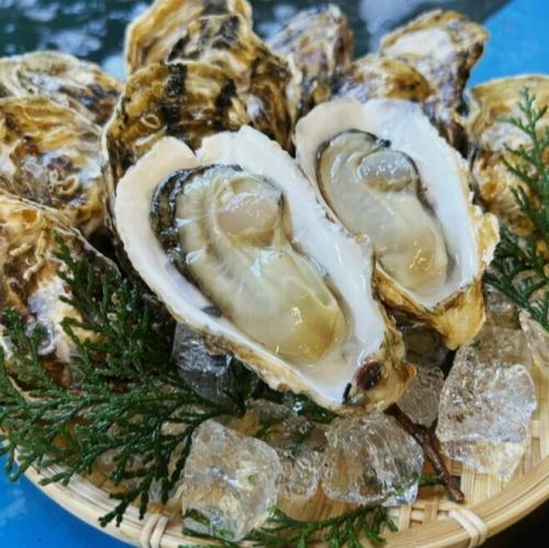 本場浦村の絶品牡蠣料理