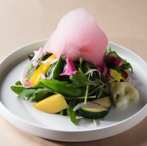 彩り野菜のガーデンサラダ