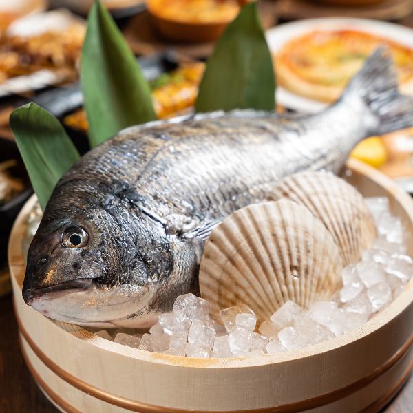 鮮度抜群！【お刺身490円～】
