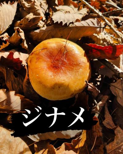 ちょっとお休みをいただき、信州へ🍄‍🟫
キノコも沢山でしたが、天然のクレソンも収穫できました🌱
この時期には穫れない品種のキノコもあり地元の方々のは、『山が変』と口癖のように言っております。

気候変動は着実に進んできてるようです💦

ですが、天然のものはやはり美味しいですね😋

#三鷹グルメ #武蔵野市グルメ #レストラン #ビストロ
#アントゥーカ #天然キノコ