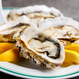 産地直送！無菌生カキ　1ヶ