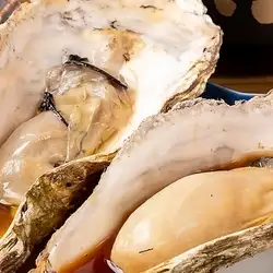 蒜蓉黄油烤牡蛎（1个）