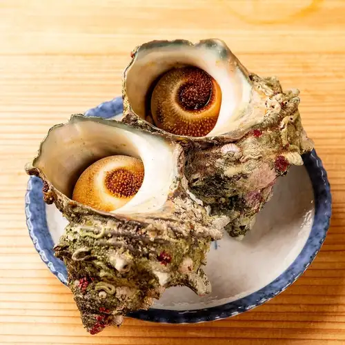 烤头巾壳（1个）