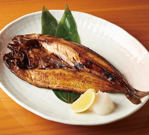 [Extra-large] Striped Atka mackerel [1 fish]