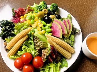 ◆ ALEGRIA salad