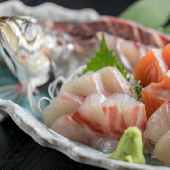 지역 東舞鶴에서 신선한 생선 ♪ 생선회 1 ~ 3 種盛을 준비.