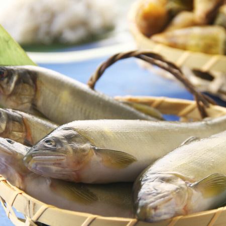 初夏限定　カツオにアユ 鱧のコース◆全10品7700円（飲物別）◆