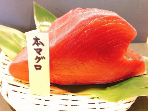 Our top recommendation is definitely bluefin tuna!