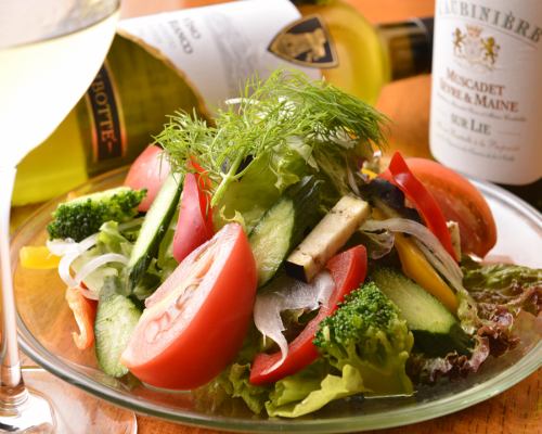 Organic vegetable colorful salad