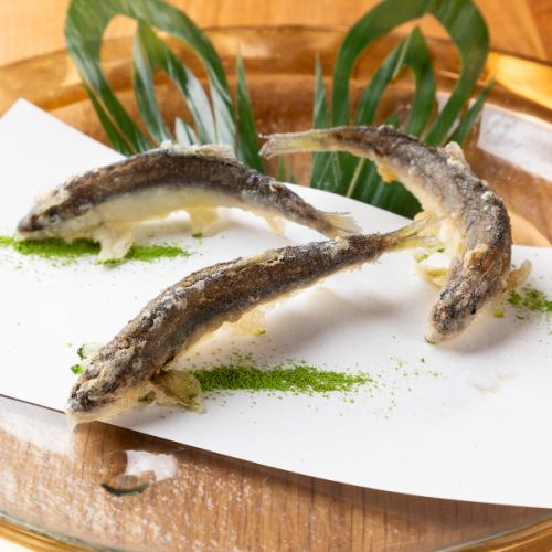 初夏の天ぷら