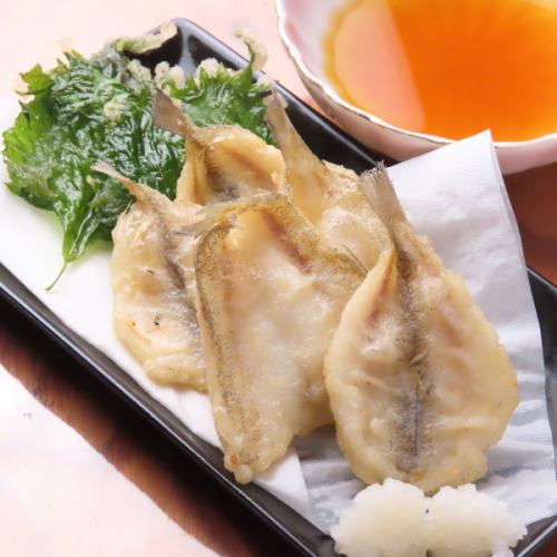 Slimy goatfish tempura