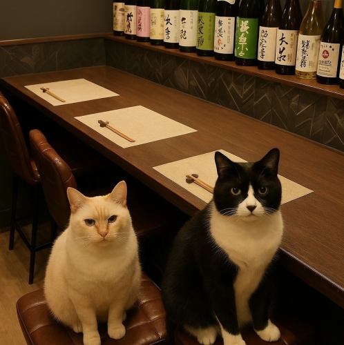 カウンター席はシンプルで落ち着いた雰囲気が魅力の一つ。友人との楽しいひと時や、一人飲みにもぴったりなお席です。お仕事帰りなどのご利用にいかがでしょうか？居心地の良い空間でリラックスしながらお食事を堪能ください。