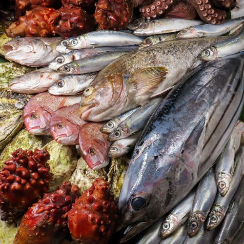 旬の食材をご堪能下さい！