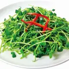 台湾風豆苗炒め