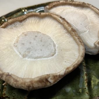 Shiitake mushroom (1 stalk)