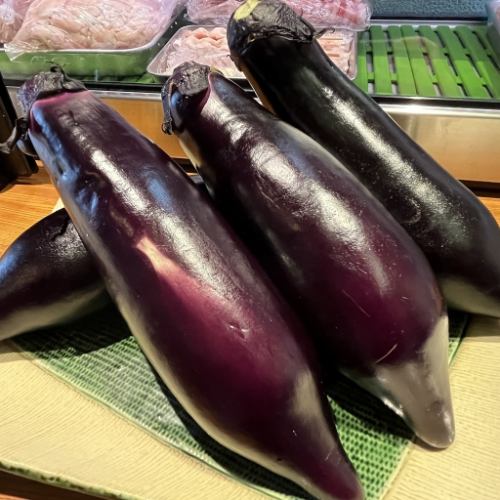 Kumamoto Red Eggplant (1 piece)