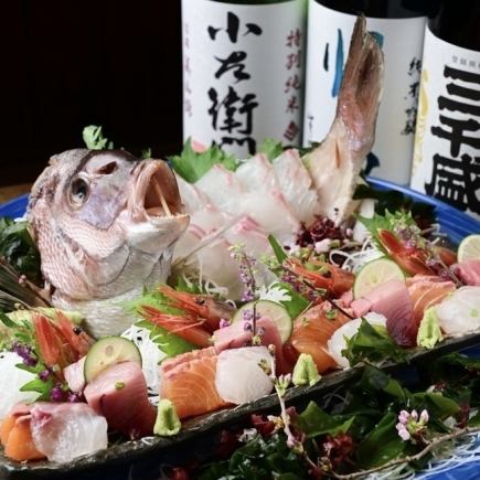 【歓送迎会】鯛の尾頭付き刺盛×天ぷら厳選5点盛【黄瀬戸】飲み放題2時間付◆7000円(税込)