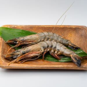 ブラックタイガー