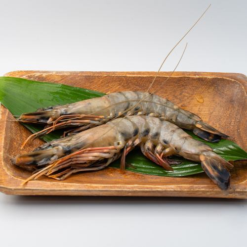 ブラックタイガー