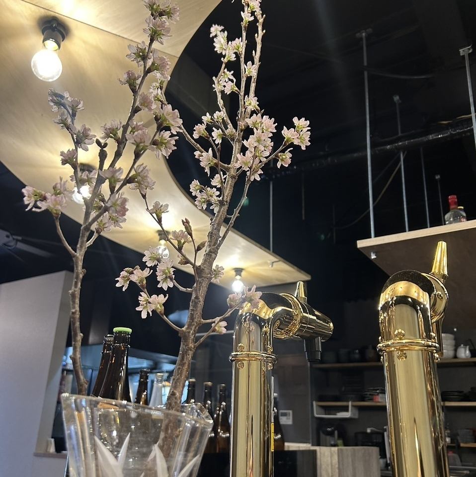 木の温もりを感じる落ち着いた雰囲気はデート利用に最適です!