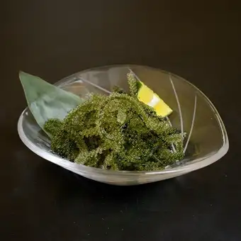 美丽海葡萄