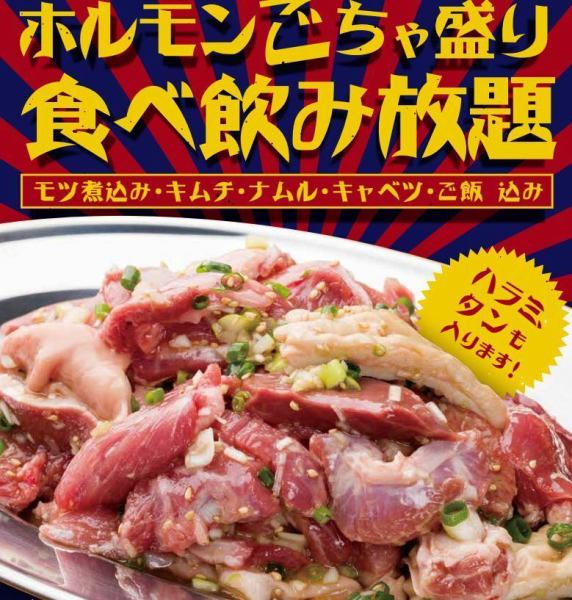 【衝撃価格】ホルモン食べ飲み放題