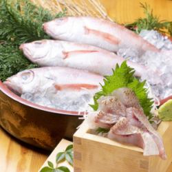 のどぐろお造り（片身）