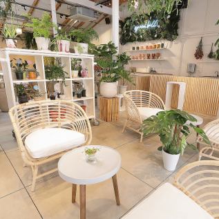 Relax in the store surrounded by greenery where the sunlight shines during the day