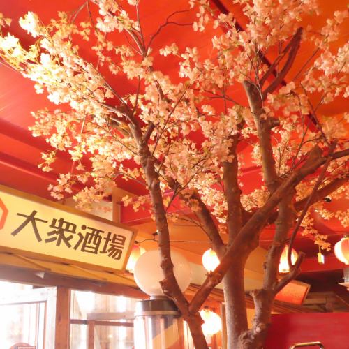 季節折々の内装♪