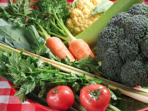 Vegetables and herbs in the vegetable garden