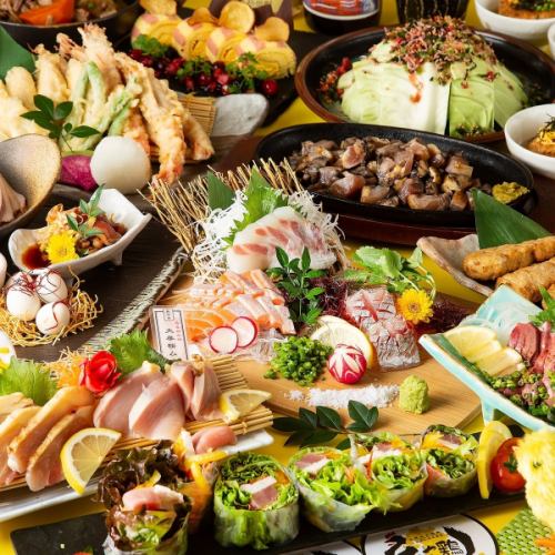 Carefully Selected ◇ Golden Chicken Course ◇ Satsuma Kiwami Chicken Sashimi / Seasonal Tempura / Carefully Selected Chicken Teppanyaki [10 dishes] ◇ All-you-can-drink with draft beer