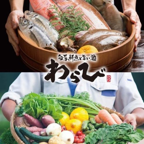 おすすめのポイント！