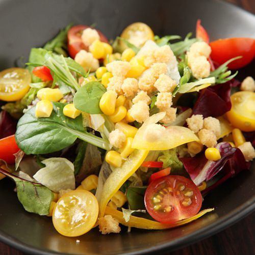 Caesar salad of seasonal organic vegetables