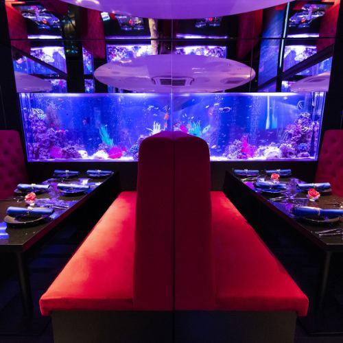 [Booth Charter | Giant Aquarium Room (11-12 people)] JeMare Shinjuku store will also offer booth charter for groups.Since you can use the fantastic aquarium space for private use, you can contribute to the excitement of the party.Please contact us by phone for booth reservations other than the above number of people.