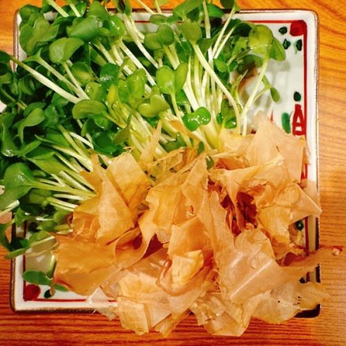 だん菜（かいわれおかか）
