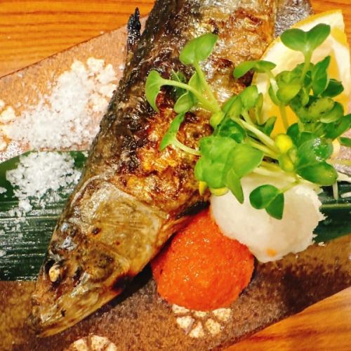 いわし塩焼き　明太山椒
