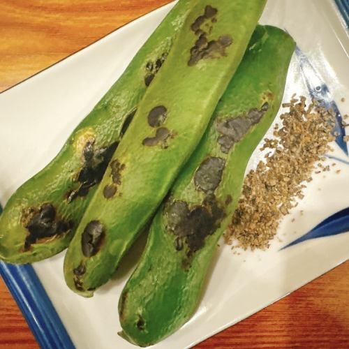 【季節商品】そら豆　塩昆布塩