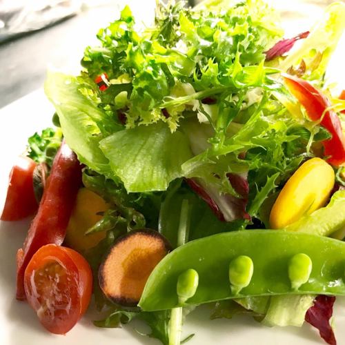 Green salad of organic vegetables