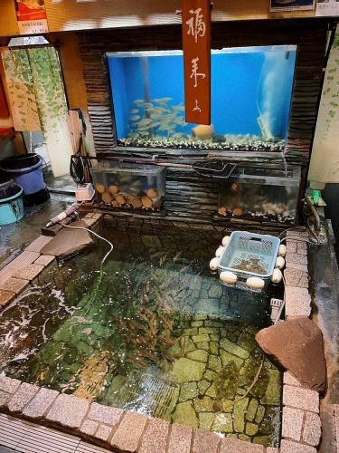 Kawataro's prided fish tank