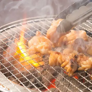 塩タン、ロース、漬込みカルビなど♪人気の肉が揃う王道プラン『GYU-テッパンコース』