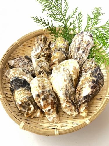 Oyster platter (5-10 pieces)