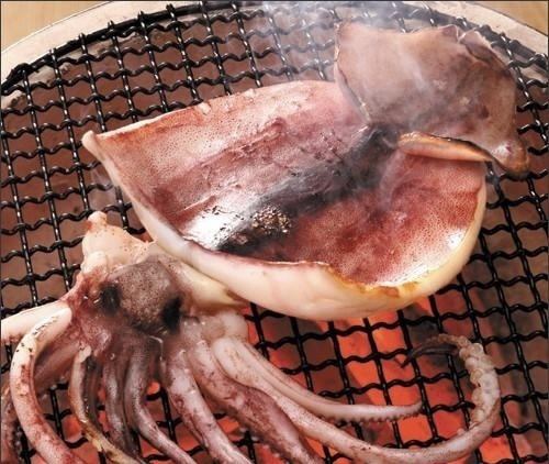 Dried squid overnight