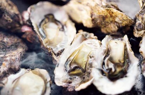 年中美味しい牡蠣を提供