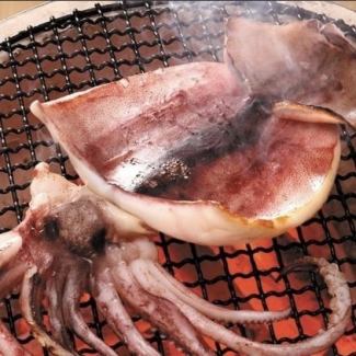 イカ1夜干し