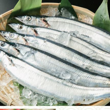 季節の新鮮な魚介や野菜を料理長こだわりのお料理でおもてなし。地酒も自慢の品ぞろえ