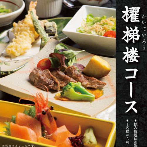 お手軽【櫂梯楼コース】